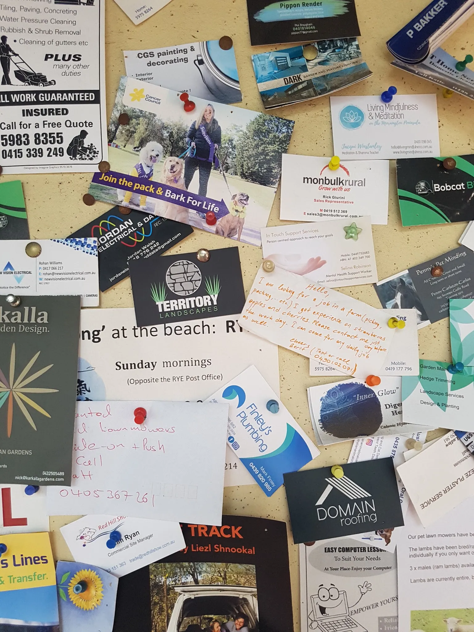 Red Hill General Store community noticeboard covered in local business cards, handwritten notes, and leaflets